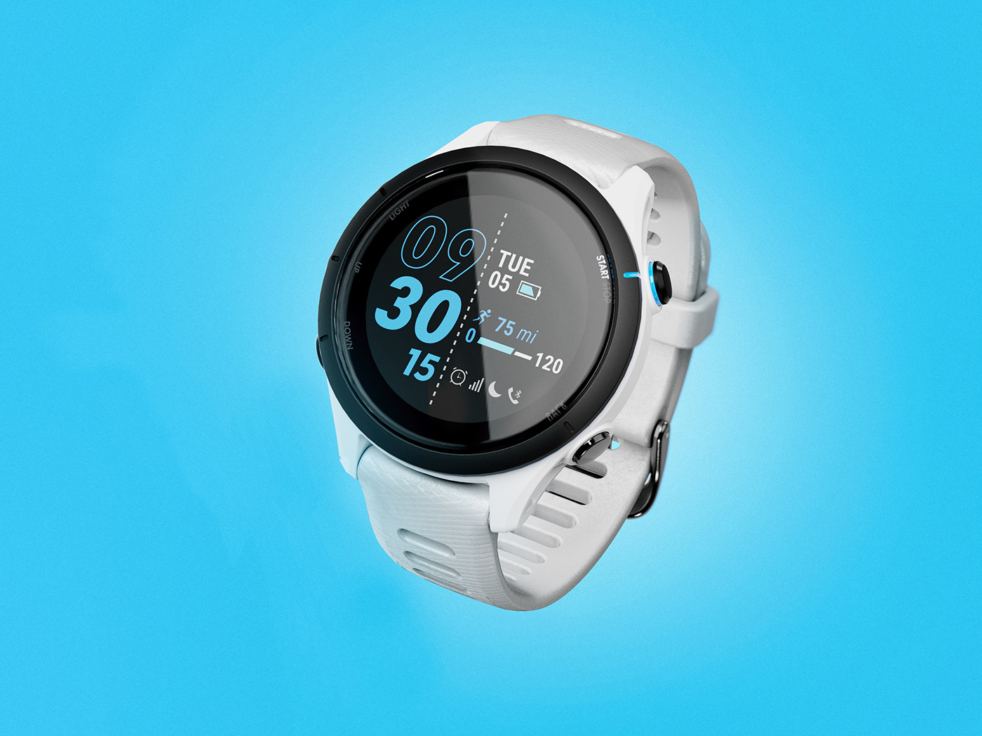 Wrist watch，run，motion，Intelligent Watch，Forerunner 255，garmin，