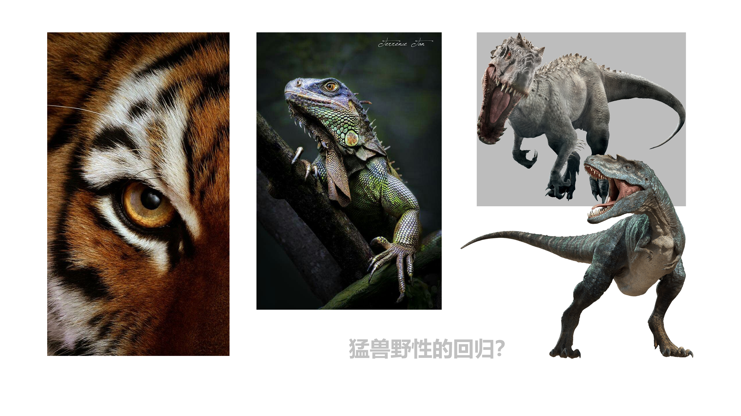 outdoor sport，Big kettle，Tough，