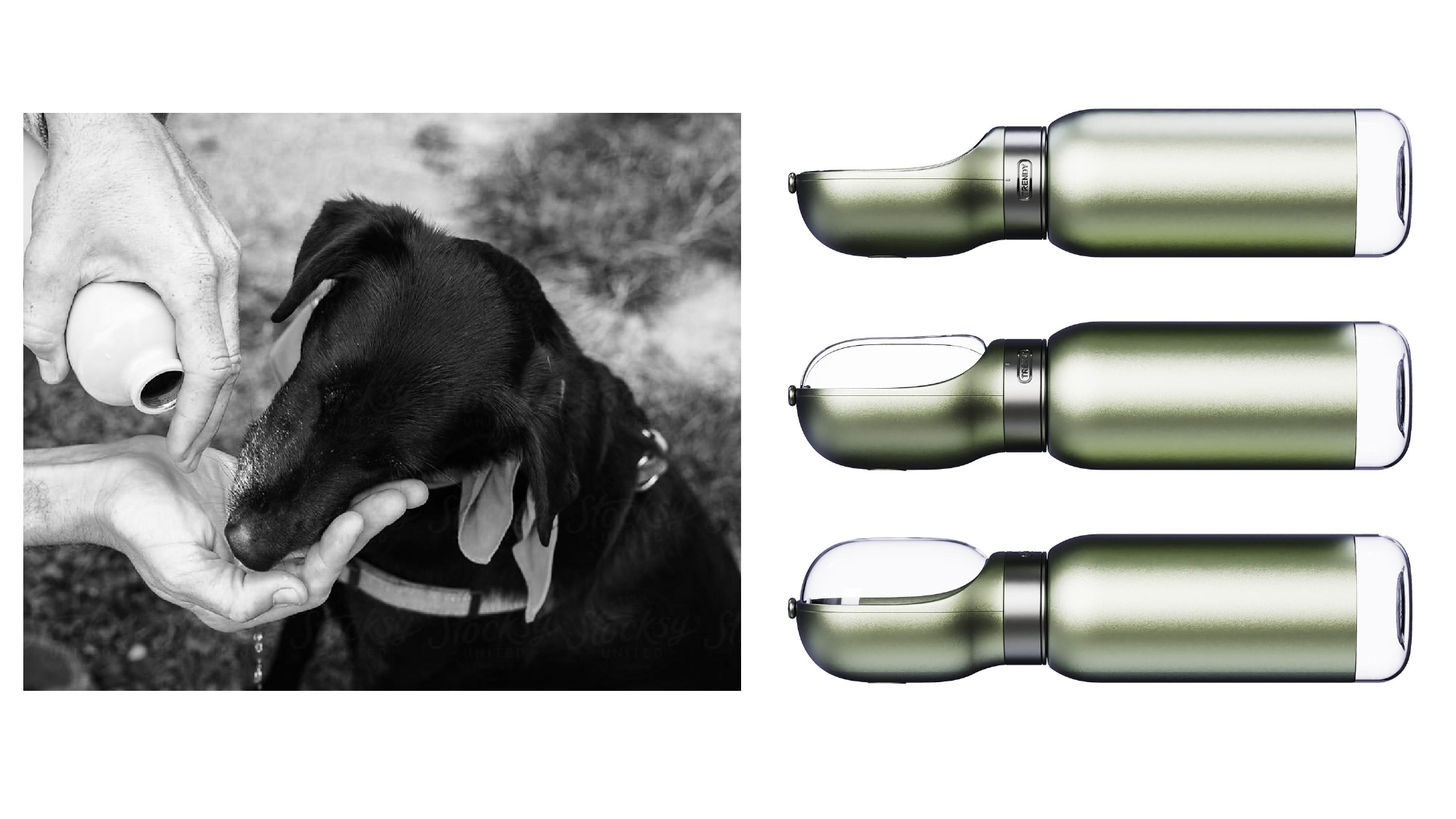 product design，industrial design，sample reels，Keyshot rendering，Pet Supplies & Pet，