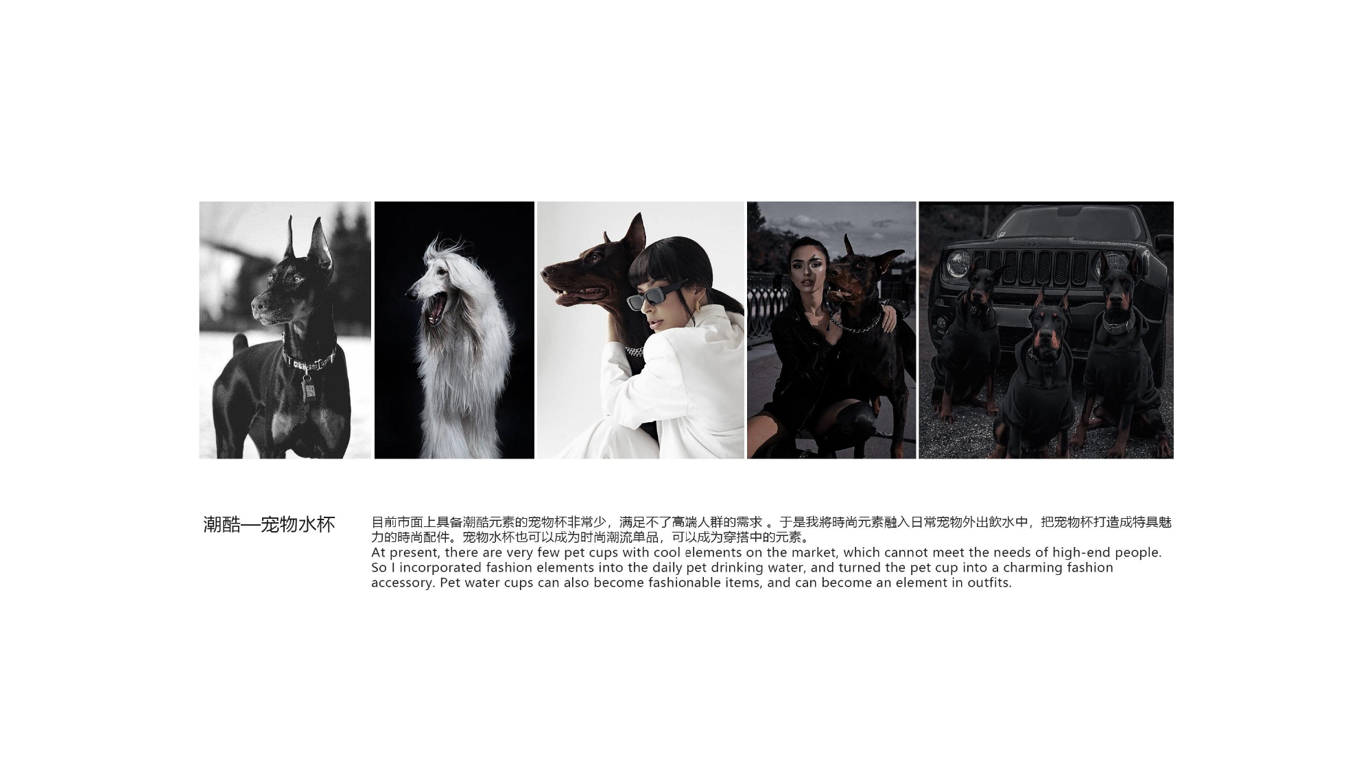 product design，industrial design，sample reels，Keyshot rendering，Pet Supplies & Pet，