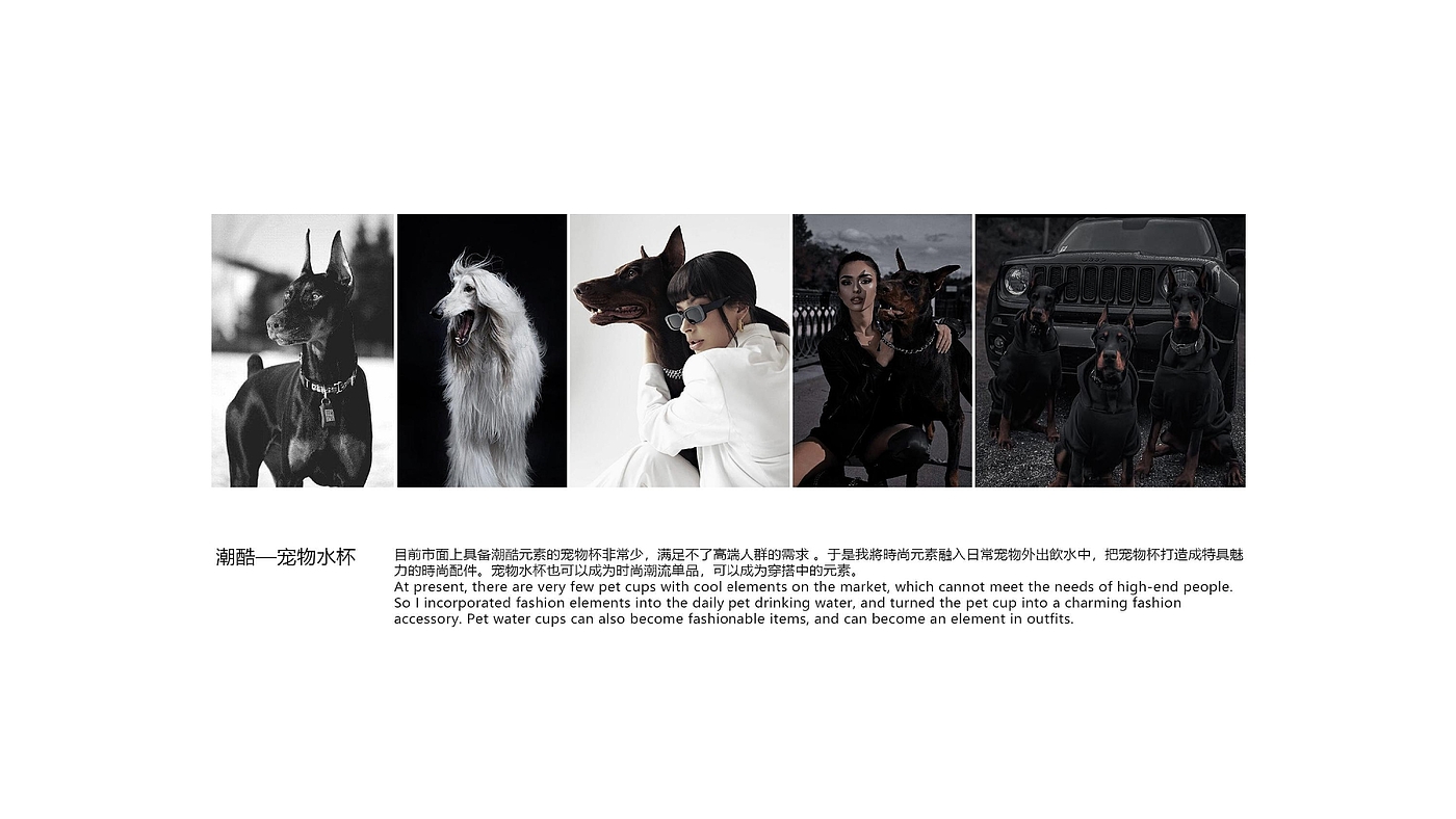 product design，industrial design，sample reels，Keyshot rendering，Pet Supplies & Pet，