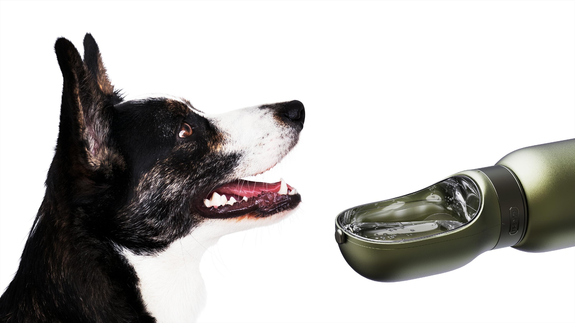 product design，industrial design，sample reels，Keyshot rendering，Pet Supplies & Pet，