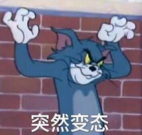 PD power supply，Charging head，Adapter，objectification of person，Fast charging，Lovely wind，cheese，