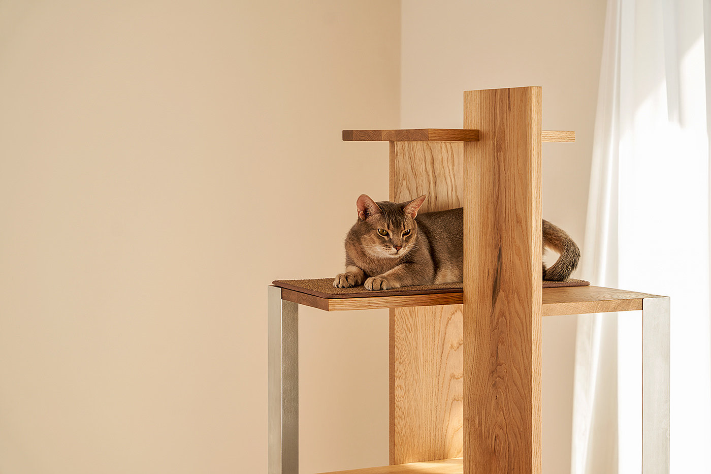 Petpartment，Pet apartment，Natural beauty，Simple and modern，Building interior，