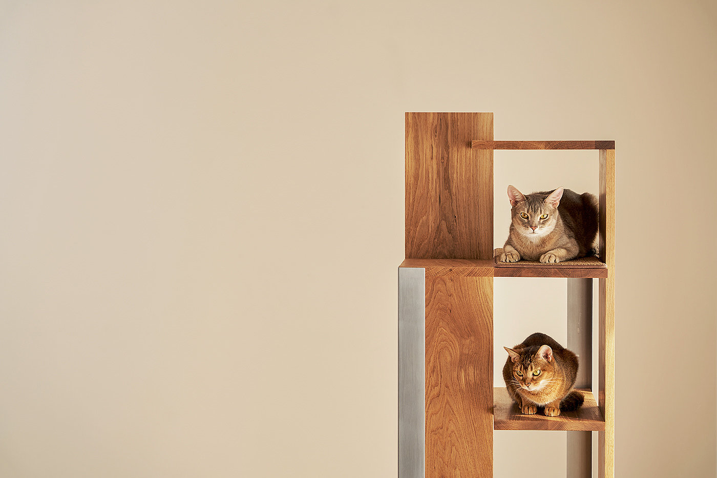 Petpartment，Pet apartment，Natural beauty，Simple and modern，Building interior，