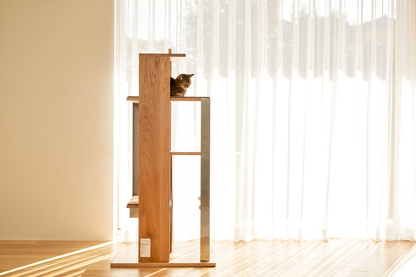 Petpartment，Pet apartment，Natural beauty，Simple and modern，Building interior，