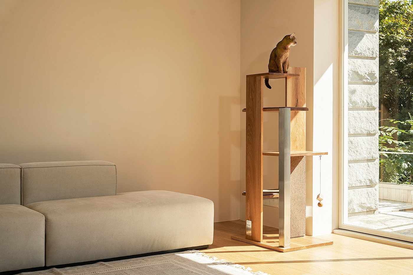 Petpartment，Pet apartment，Natural beauty，Simple and modern，Building interior，