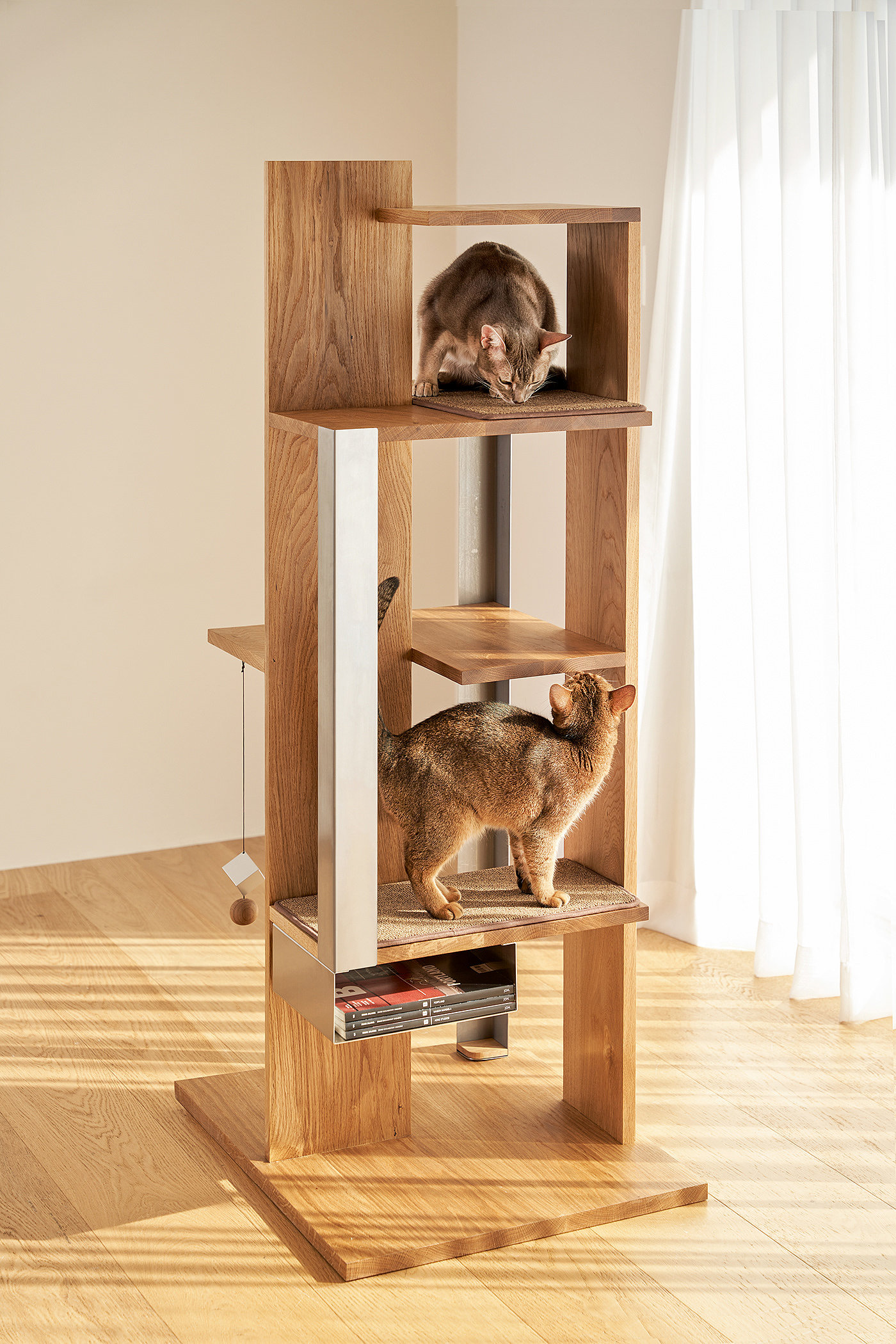 Petpartment，Pet apartment，Natural beauty，Simple and modern，Building interior，