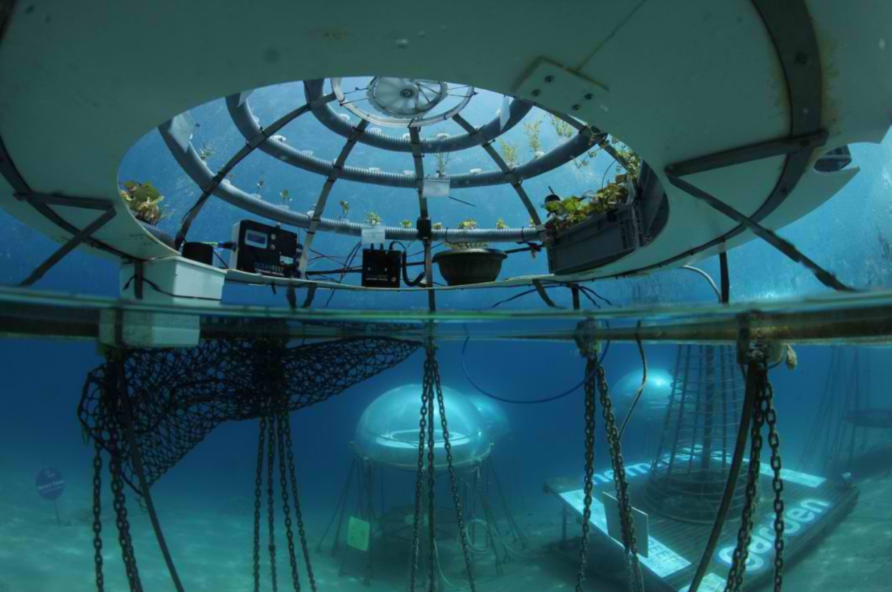 Nemo's Garden，Underwater plant，Underwater farm，industrial design，