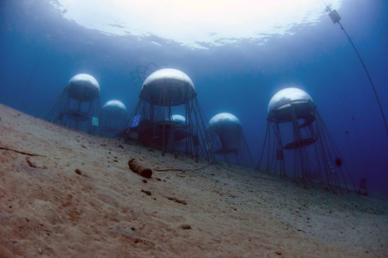 Nemo's Garden，Underwater plant，Underwater farm，industrial design，