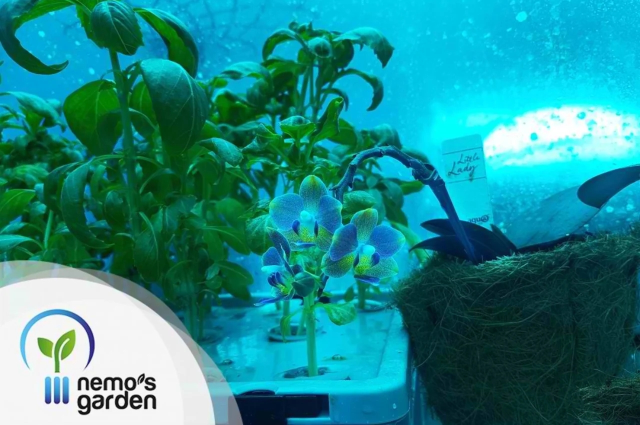 Nemo's Garden，Underwater plant，Underwater farm，industrial design，