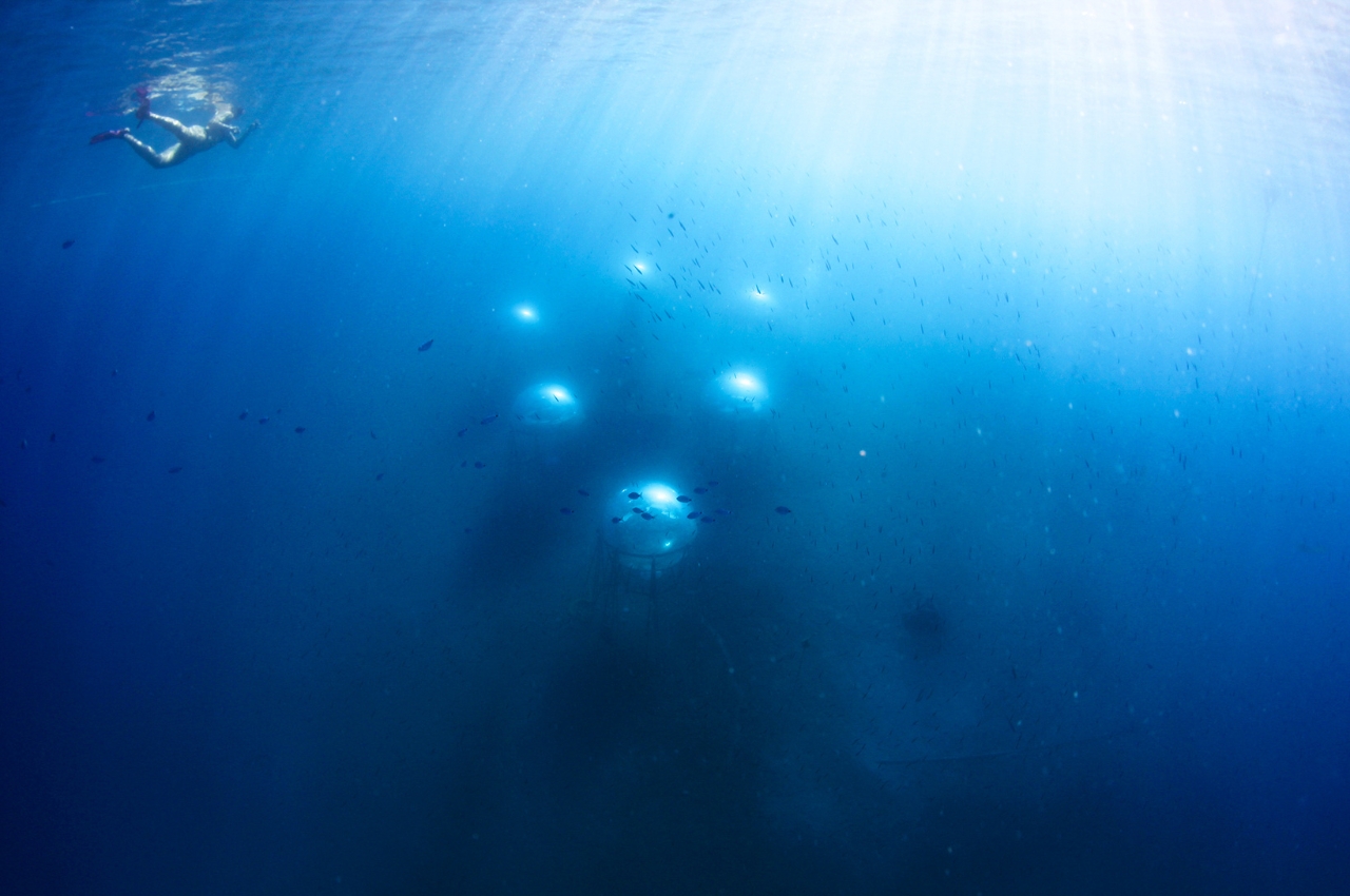 Nemo's Garden，Underwater plant，Underwater farm，industrial design，