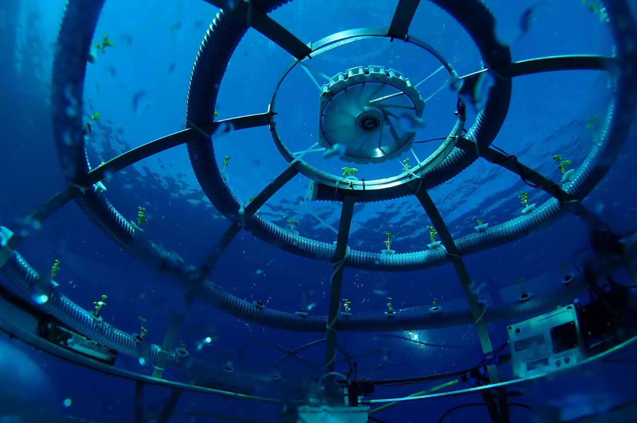 Nemo's Garden，Underwater plant，Underwater farm，industrial design，