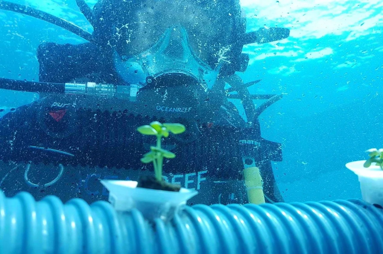 Nemo's Garden，Underwater plant，Underwater farm，industrial design，