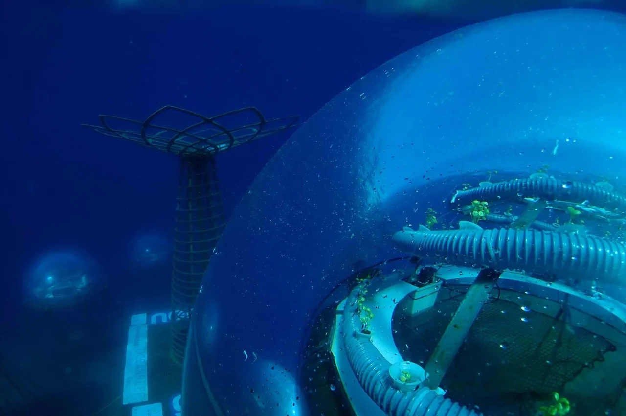 Nemo's Garden，Underwater plant，Underwater farm，industrial design，