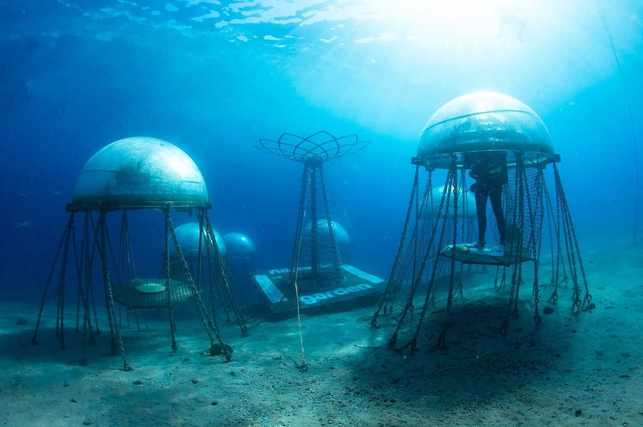 Nemo’s Garden，水下植物，水下农场，工业设计，