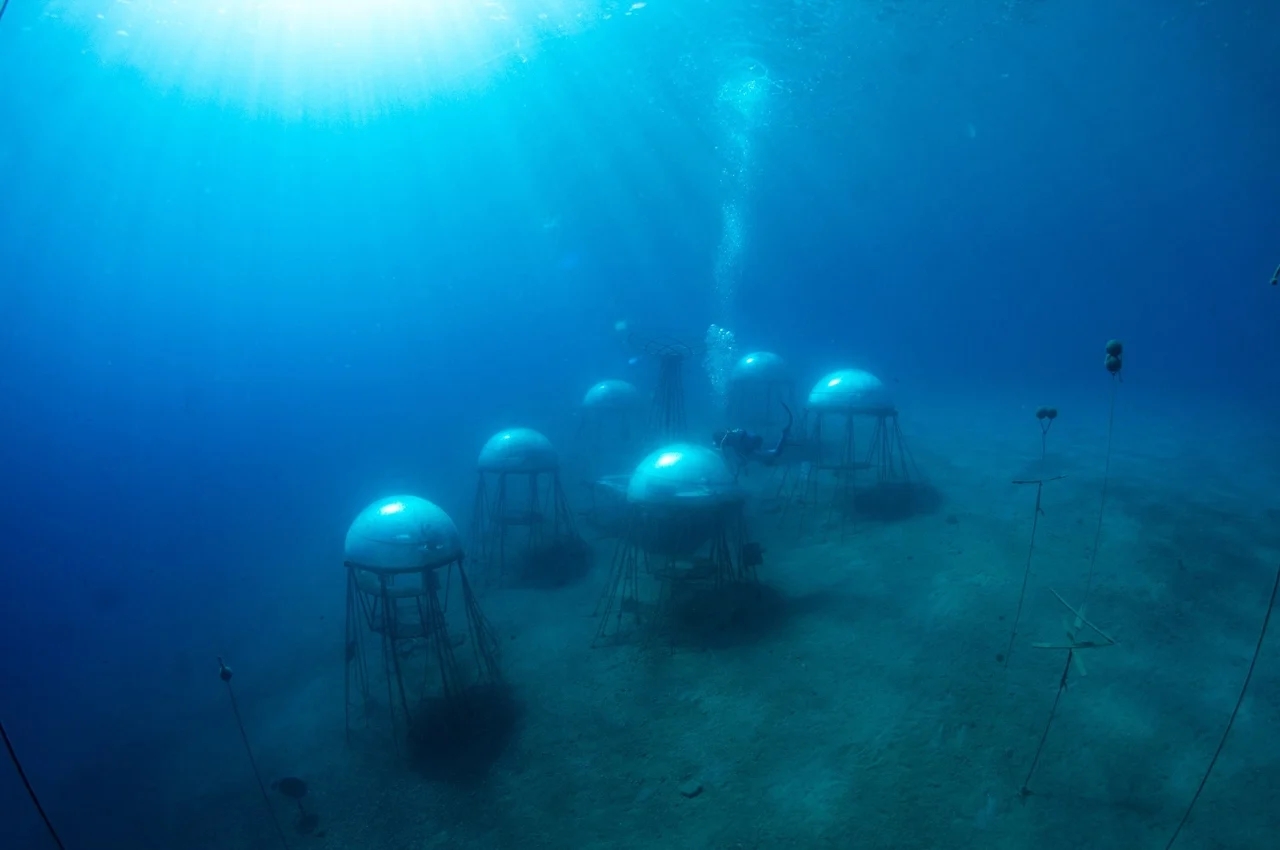 Nemo's Garden，Underwater plant，Underwater farm，industrial design，