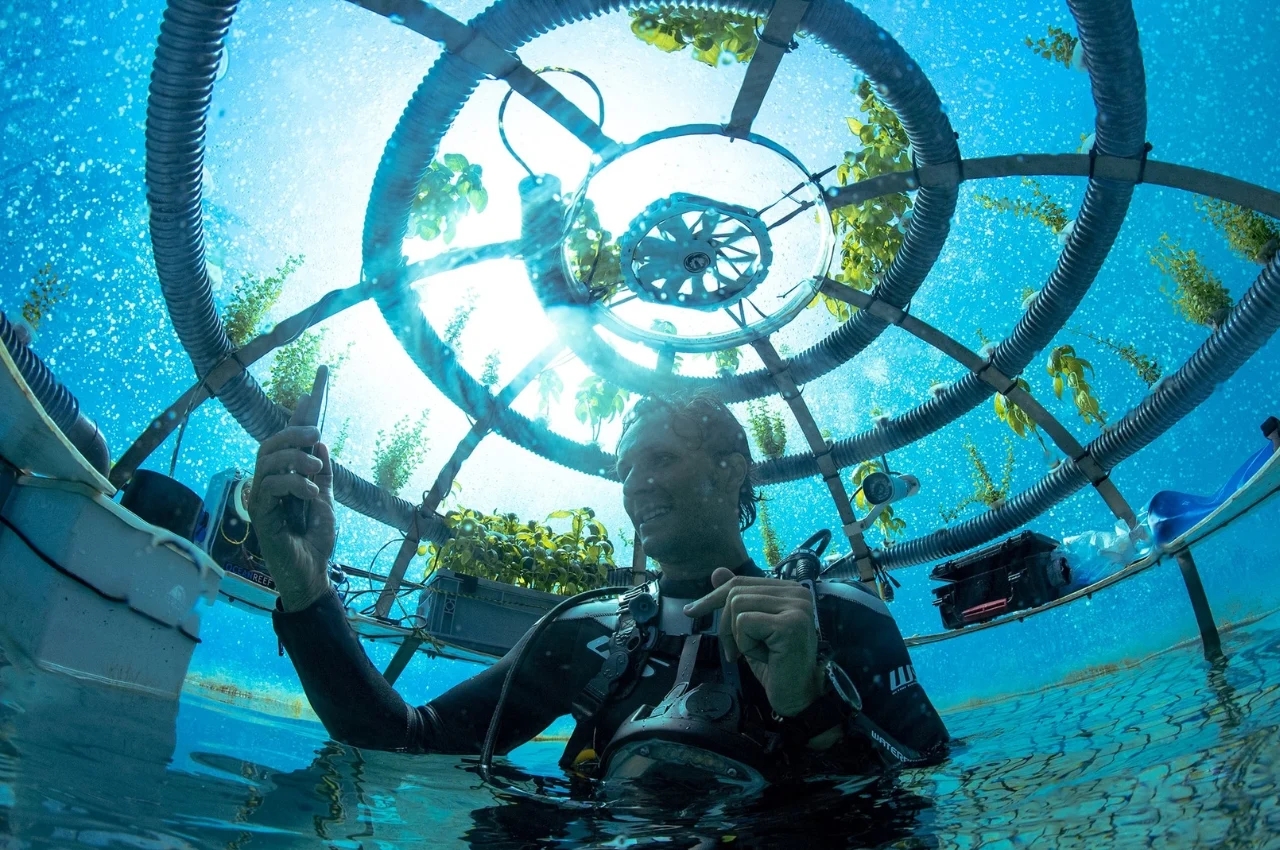 Nemo's Garden，Underwater plant，Underwater farm，industrial design，