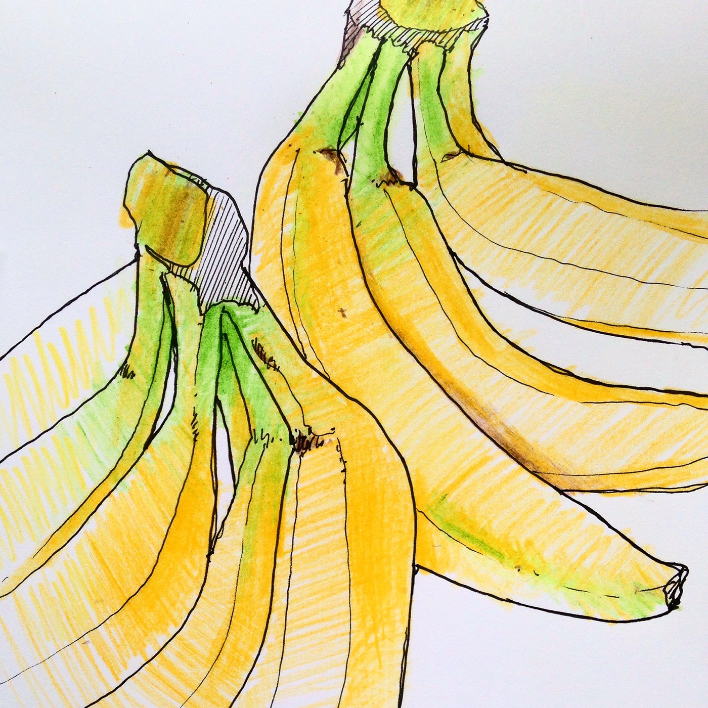 Reprint，Hand drawn，sketch，