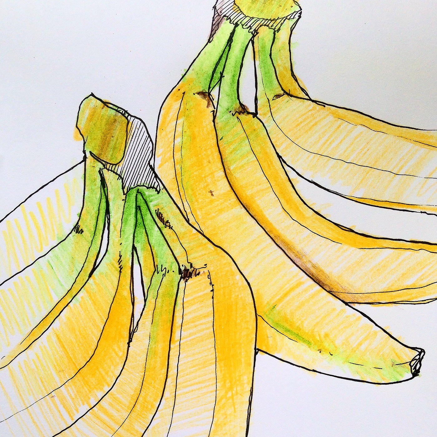Reprint，Hand drawn，sketch，