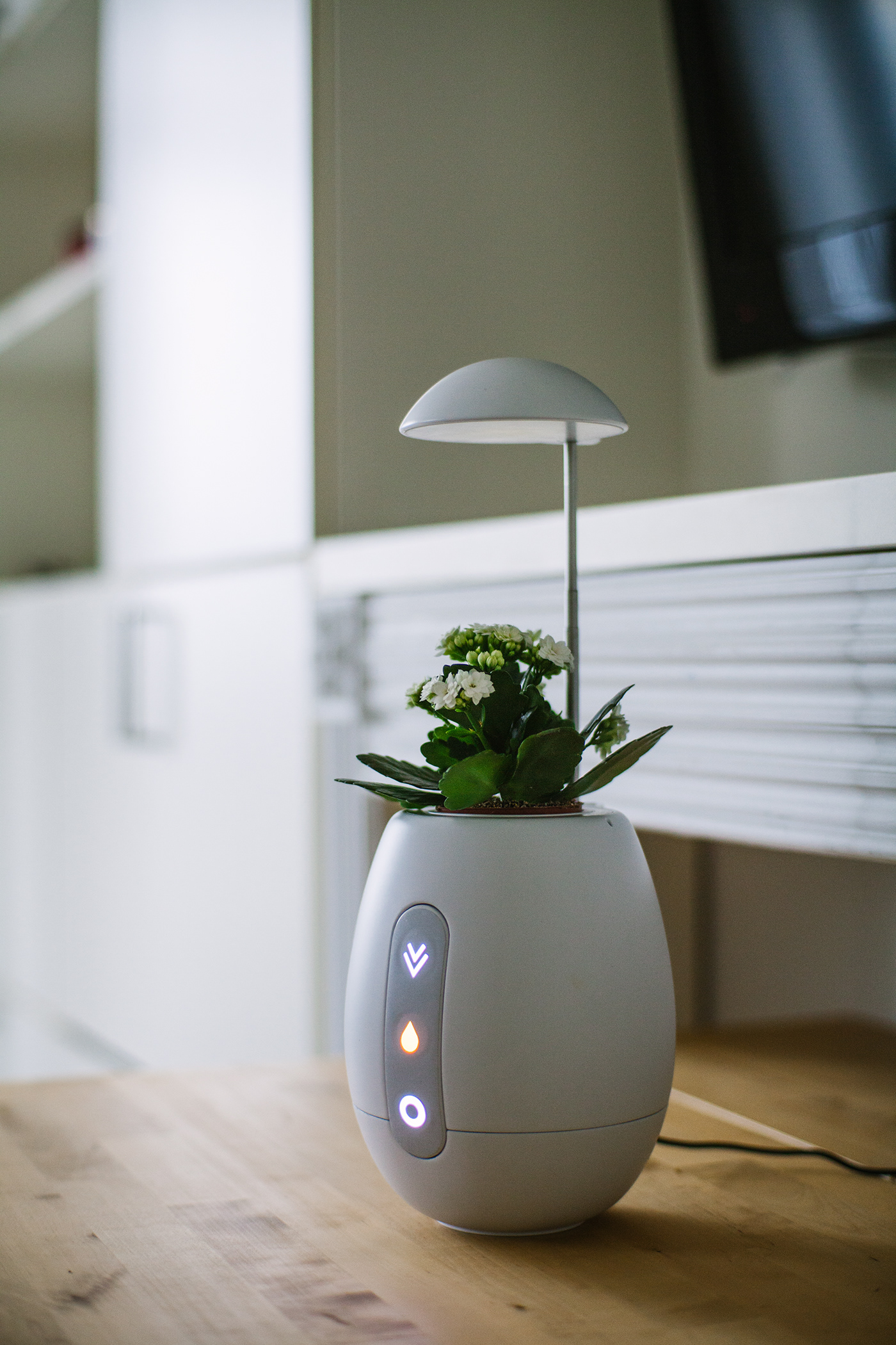 vivo，Flowerpot，LED lamp，