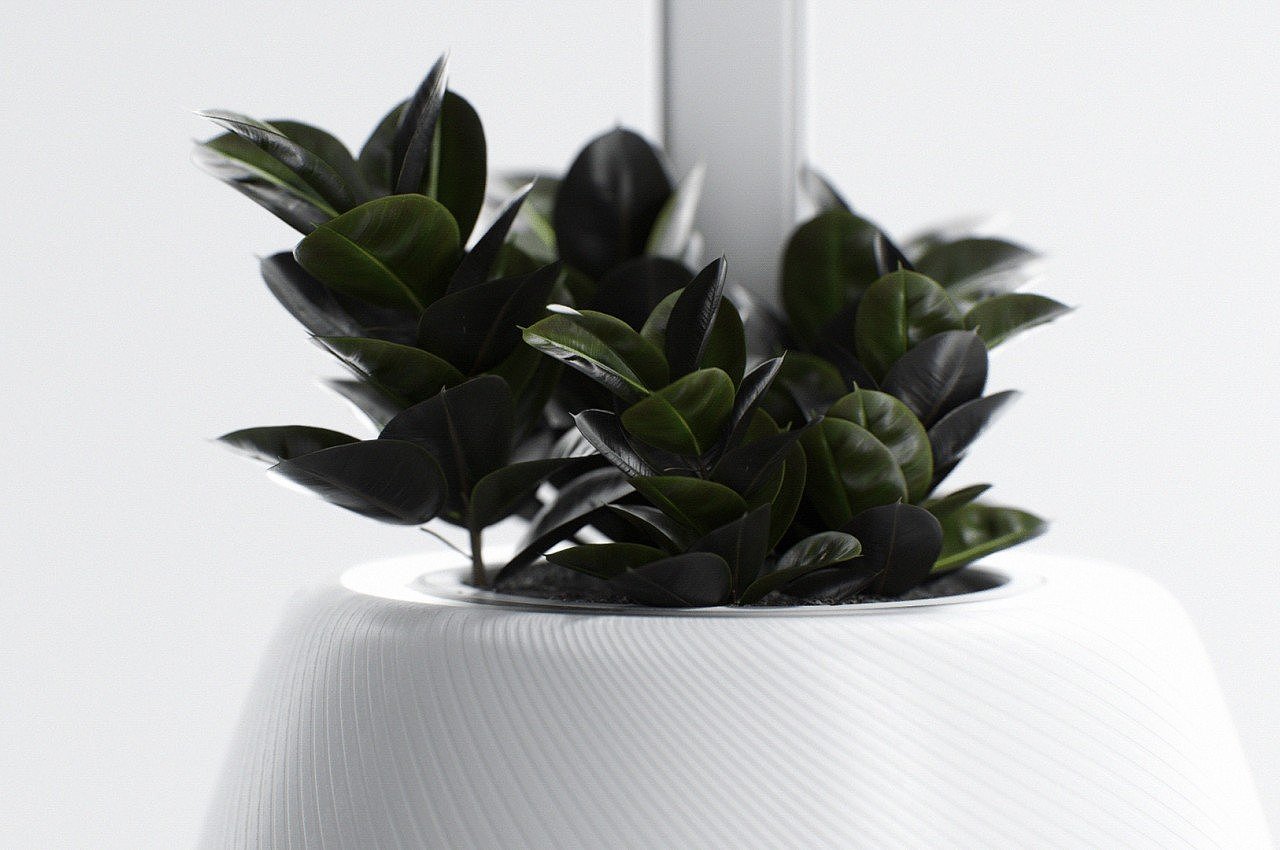 Flowerpot，Desk lamp，product design，Appearance design，exquisite，