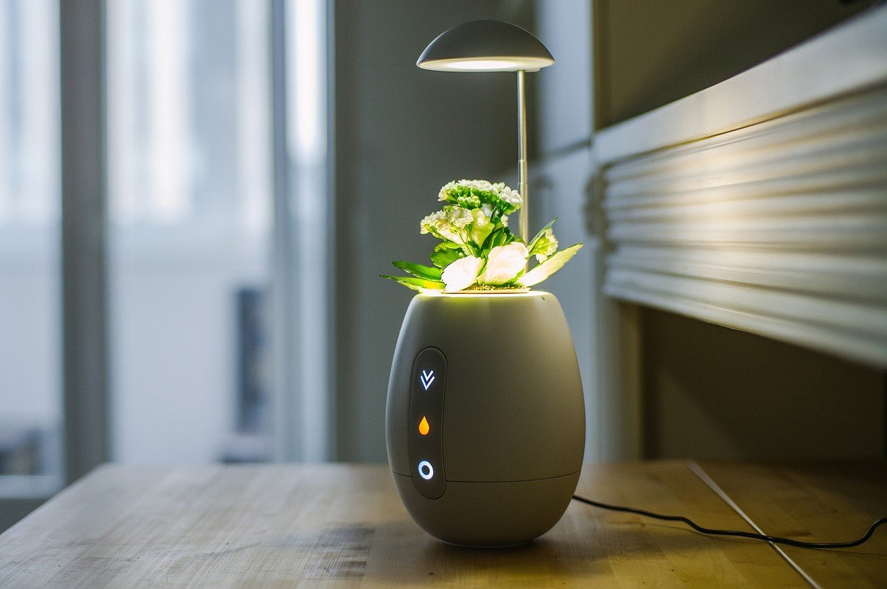 Flowerpot，Desk lamp，product design，Appearance design，exquisite，