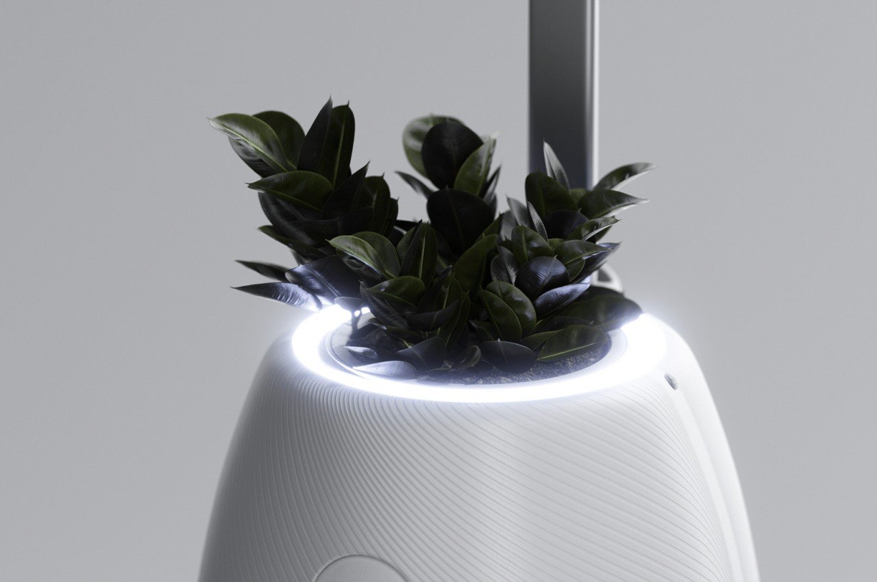 Flowerpot，Desk lamp，product design，Appearance design，exquisite，