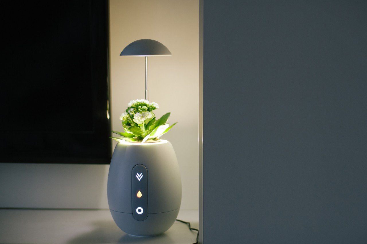 Flowerpot，Desk lamp，product design，Appearance design，exquisite，