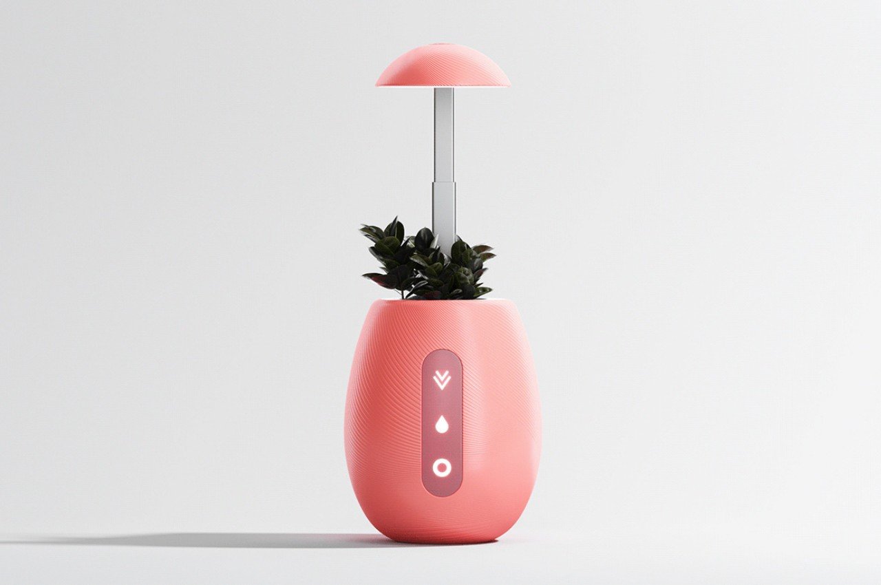 Flowerpot，Desk lamp，product design，Appearance design，exquisite，