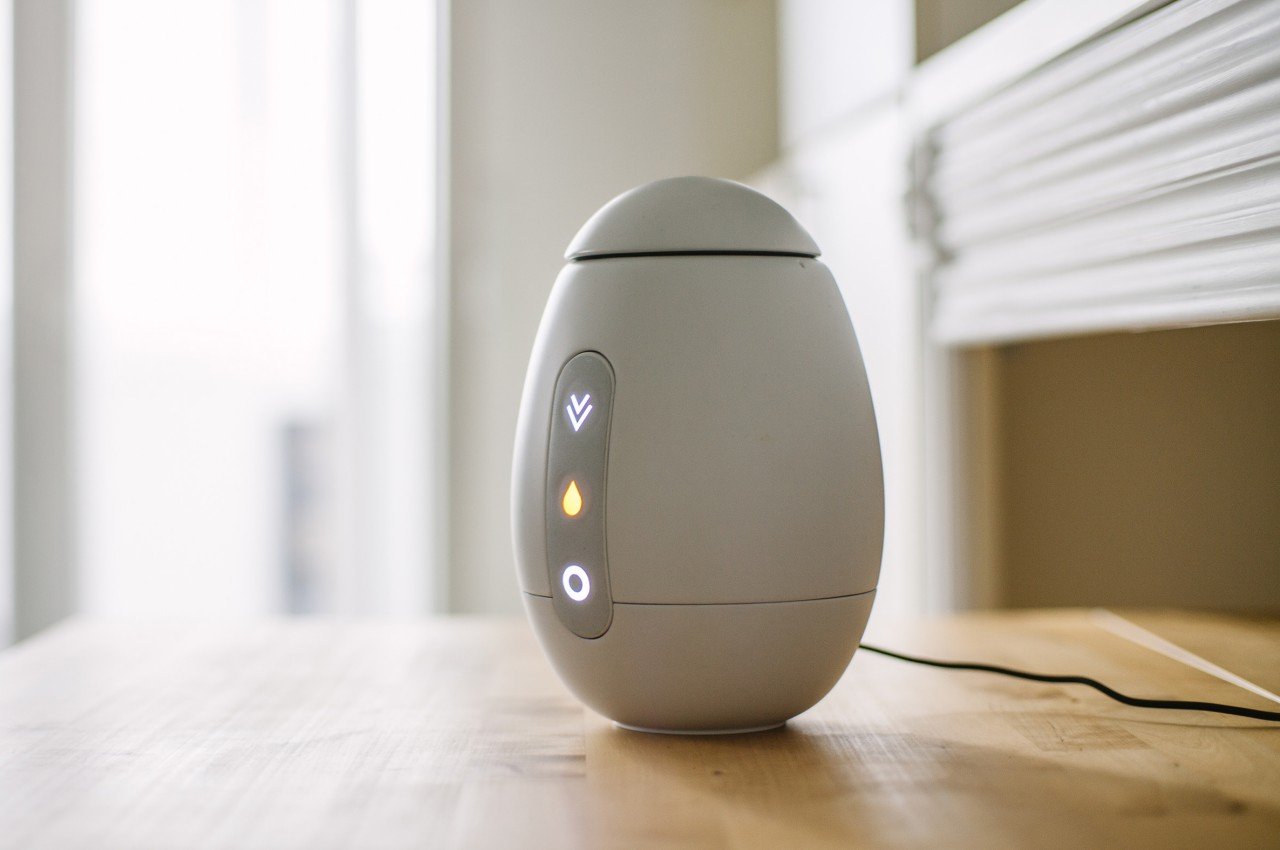 Flowerpot，Desk lamp，product design，Appearance design，exquisite，