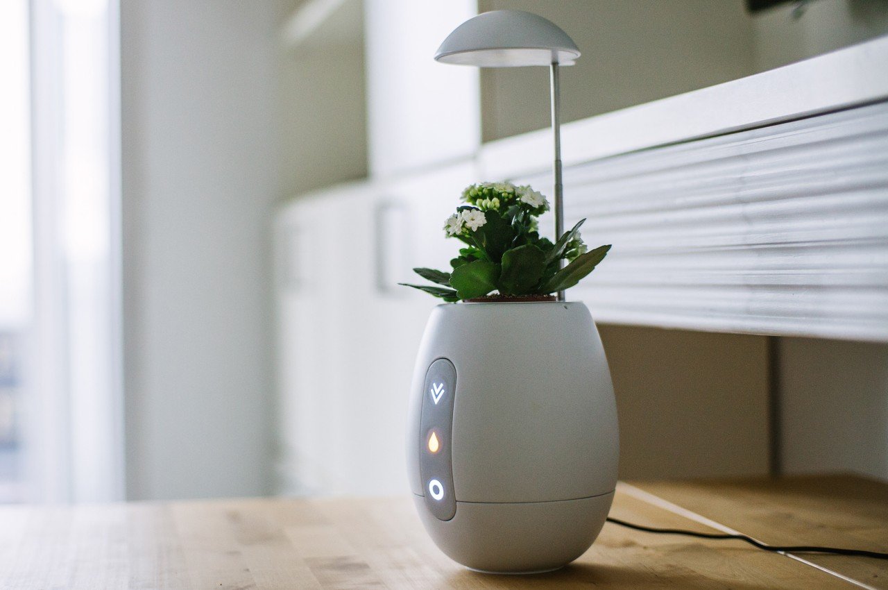 Flowerpot，Desk lamp，product design，Appearance design，exquisite，