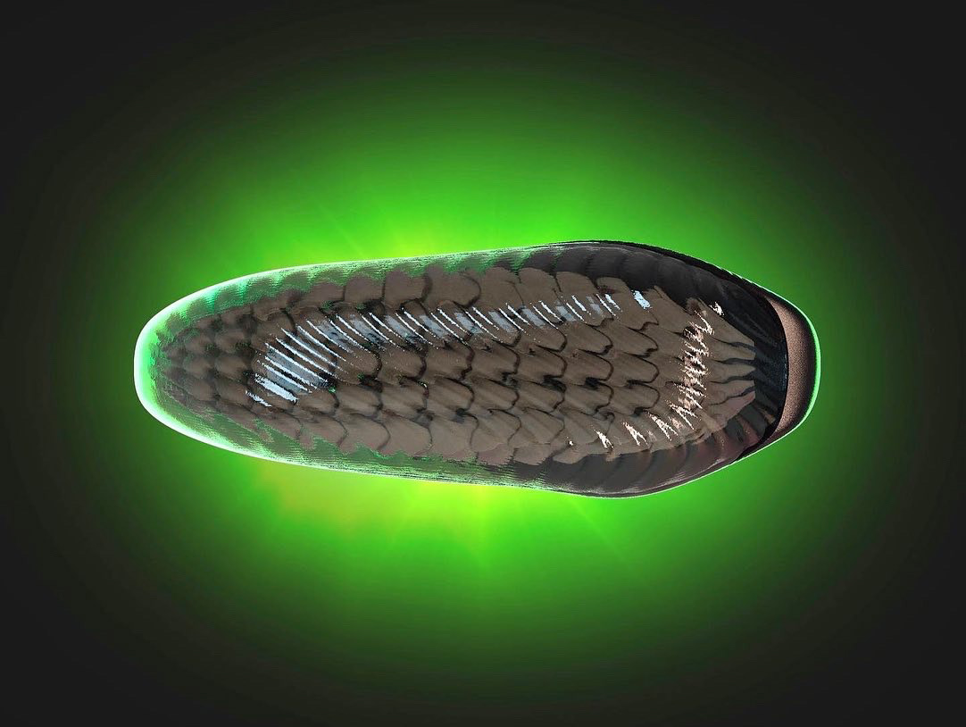 shoes，concept，Appearance design，exquisite，product design，