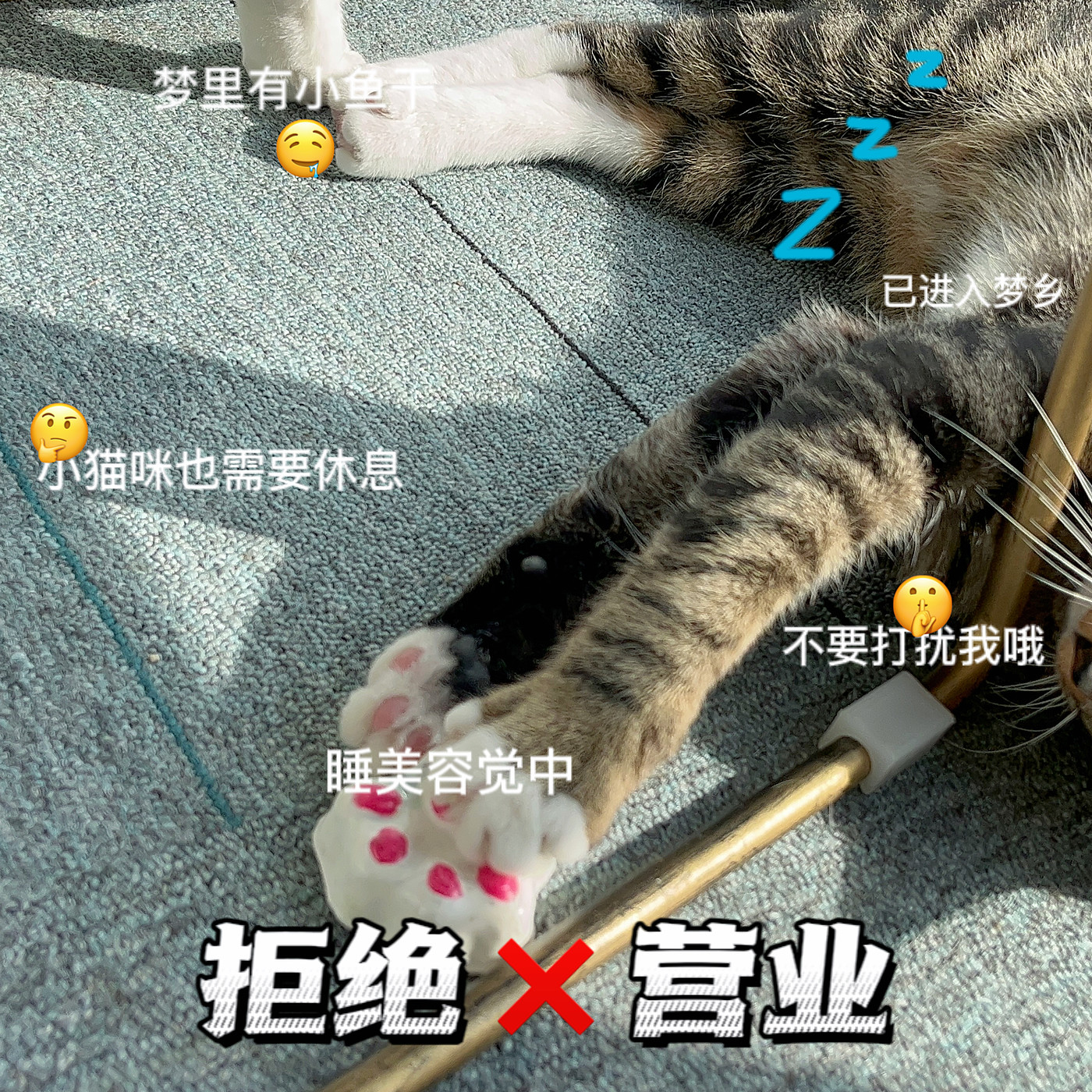 瓶盖，猫爪，可持续，再生，