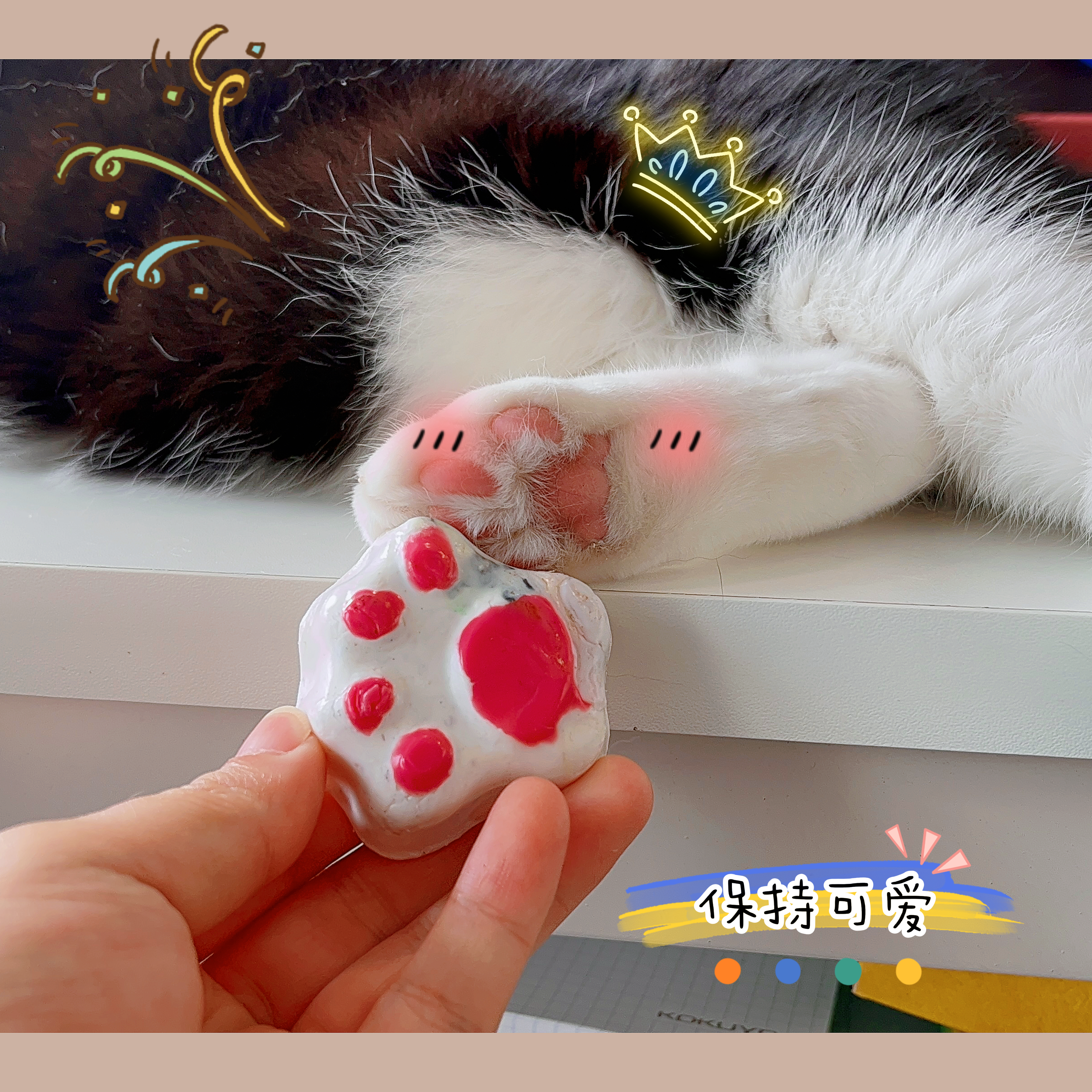 bottle cap，Cat claw，sustainable，regenerate，