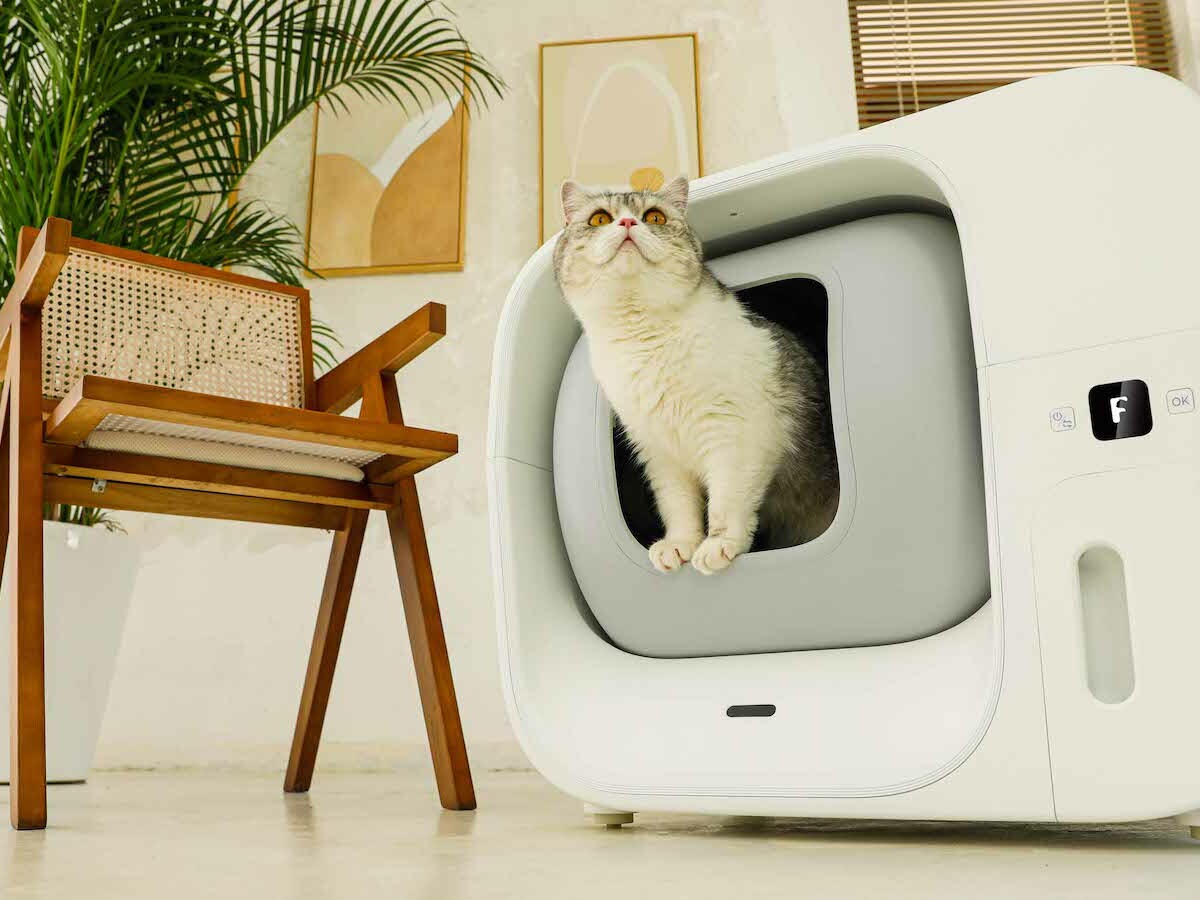 Cat litter，fully automatic，intelligence，