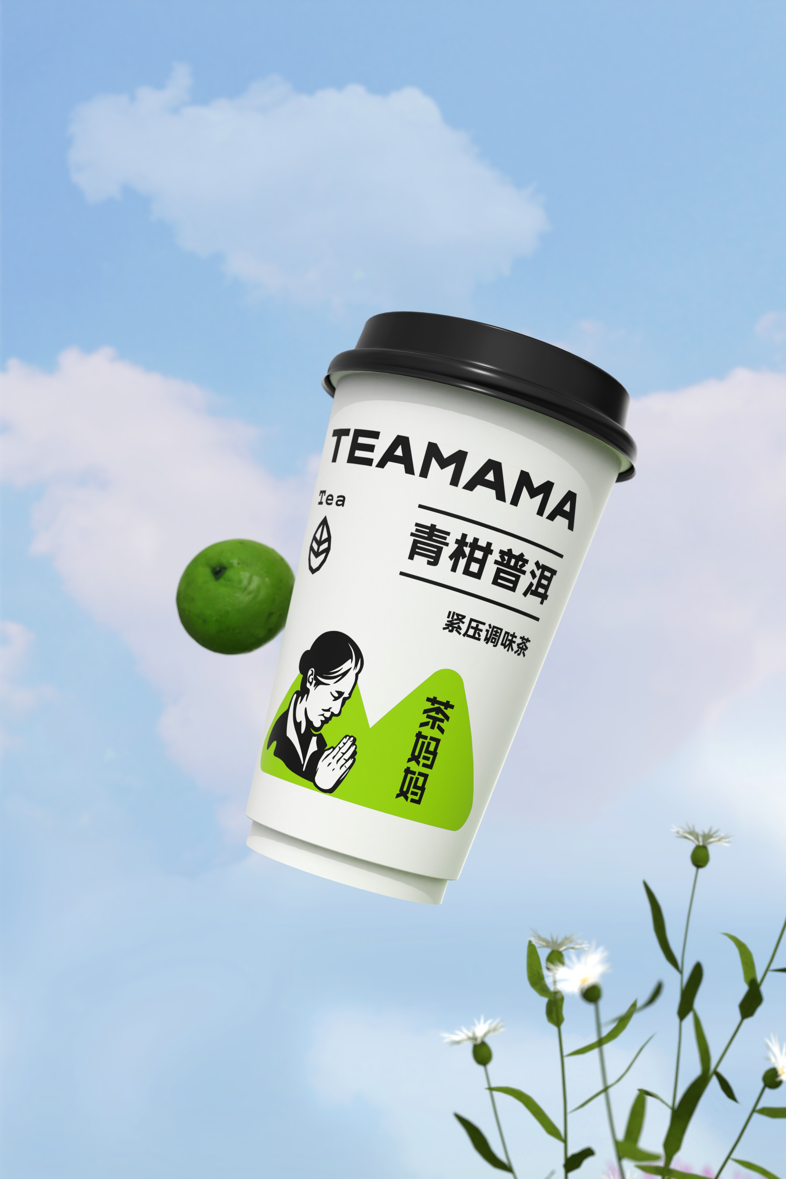 plane，original，Box design，Chinese Tea Design，Brand design，Tea design，Brand planning，packing design，