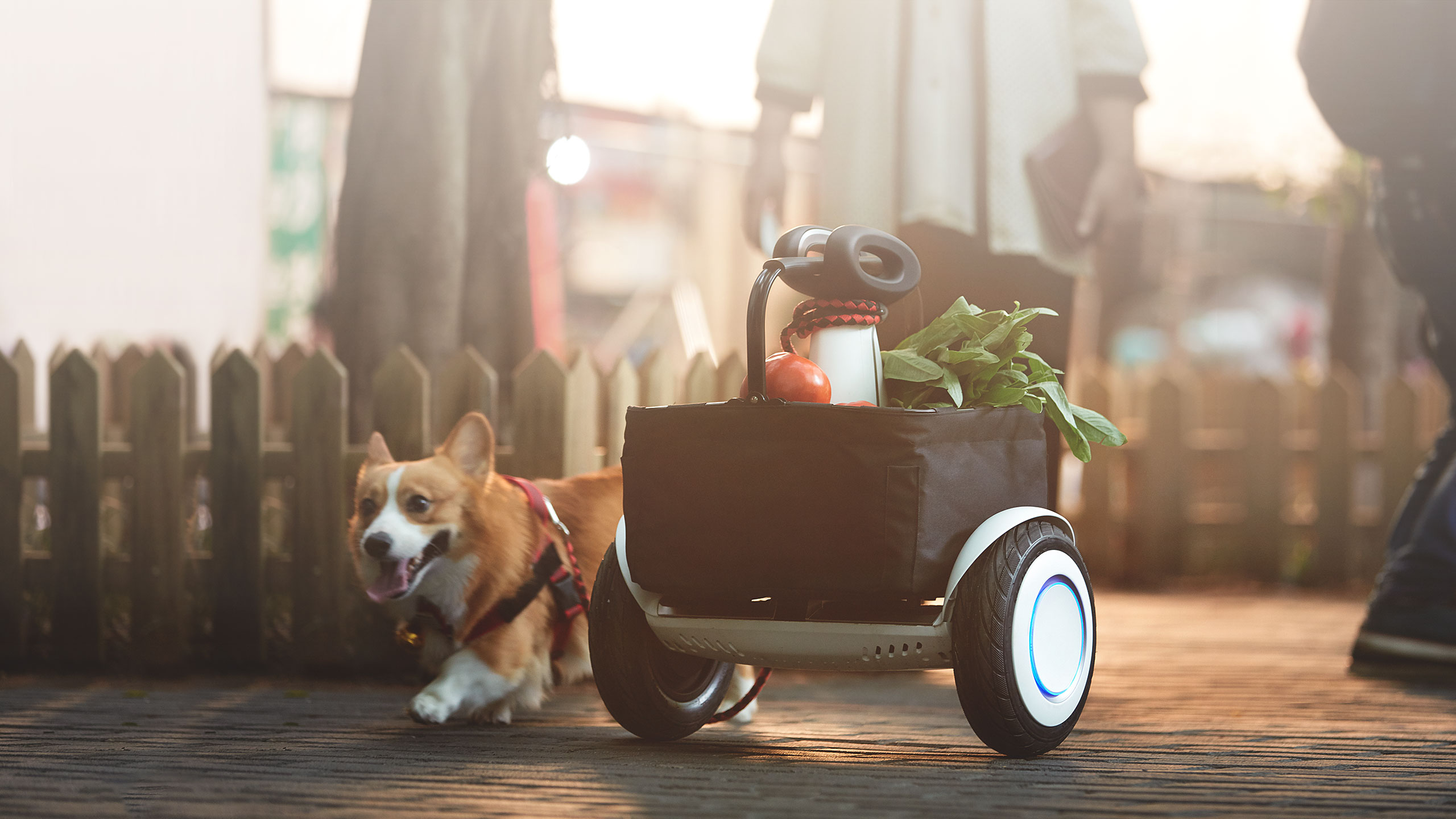 Balance car，vehicle，product design，industrial design，