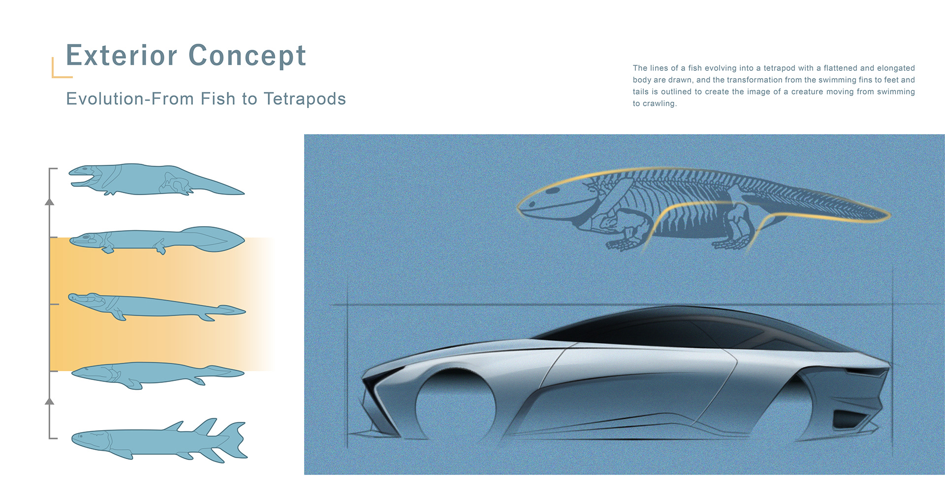 automobile，concept，Render，