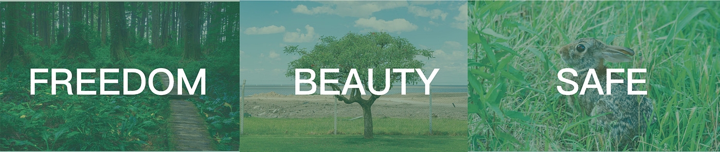 product design，industrial design，sample reels，Keyshot rendering，outdoors，Wound treatment，medical care，