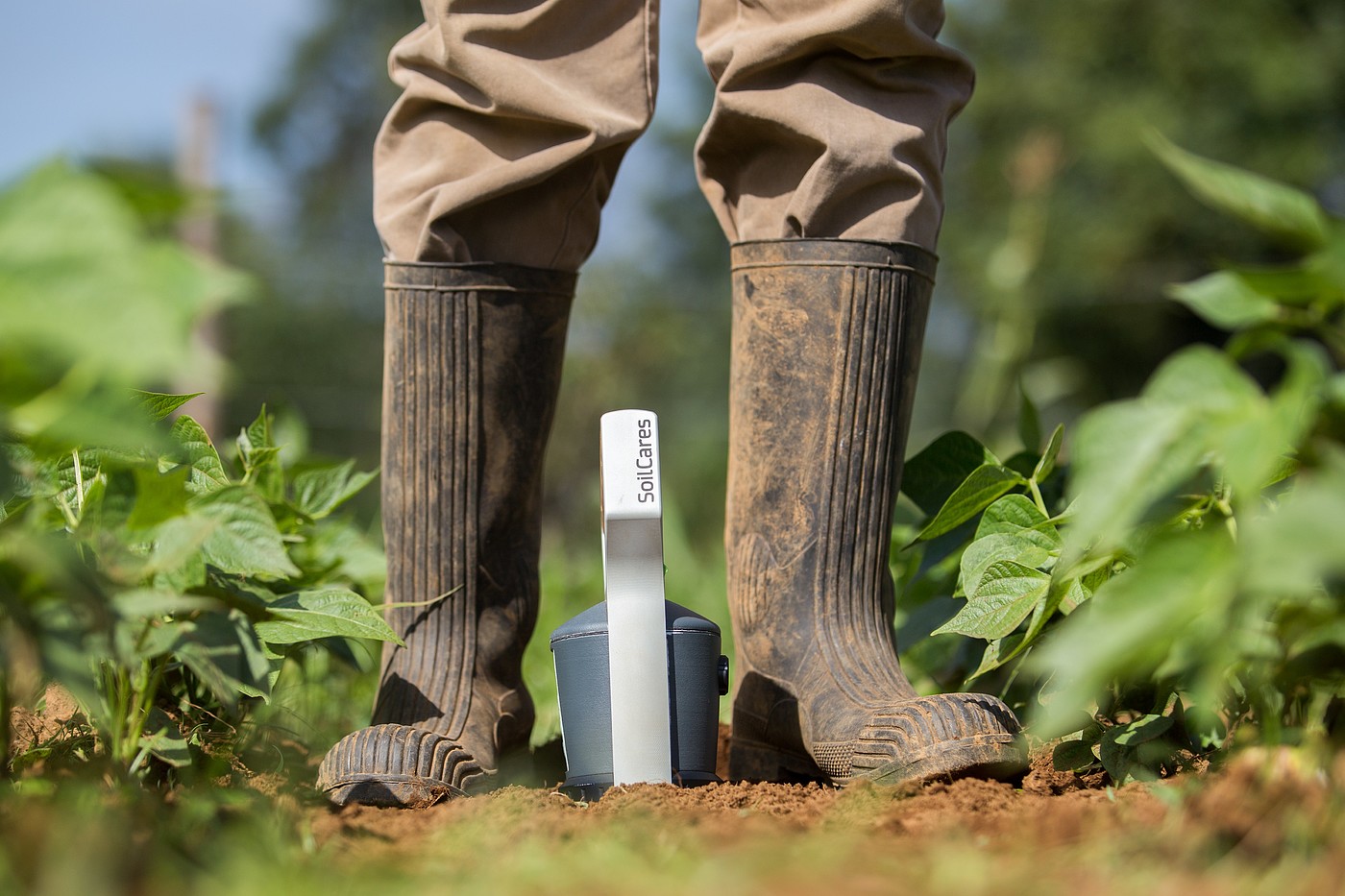 2017红点，土壤扫描仪，Soil scanner，