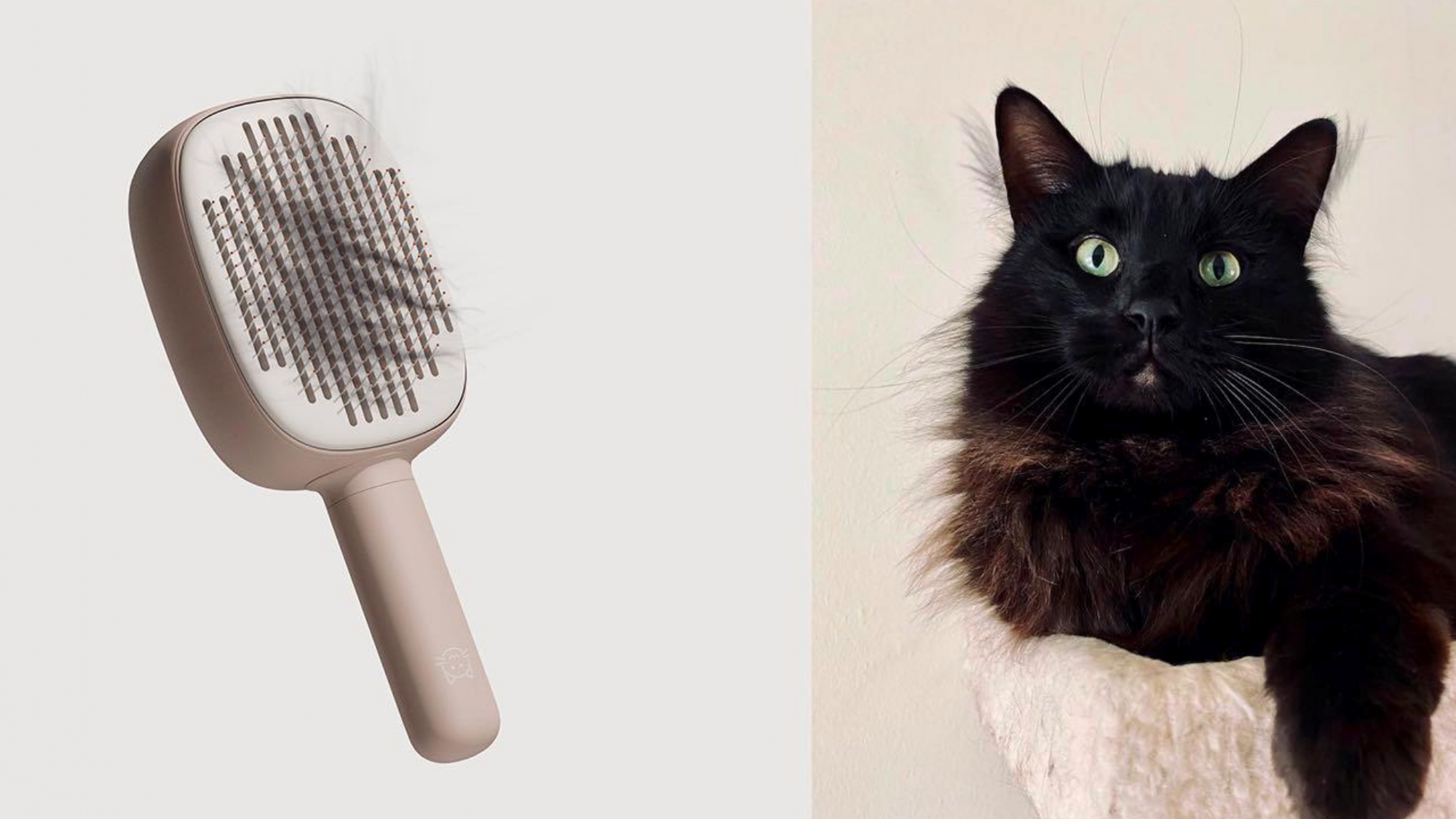 product design，industrial design，sample reels，Keyshot rendering，Pet Supplies & Pet，Cat brush，