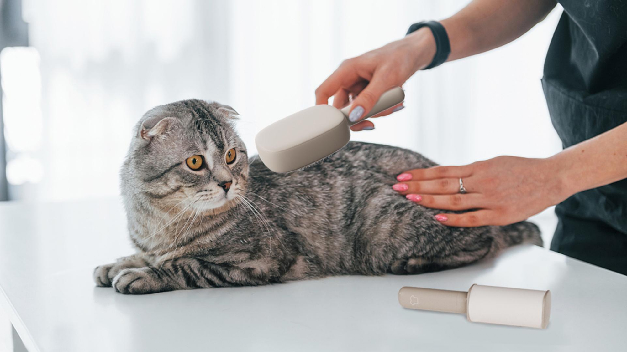 product design，industrial design，sample reels，Keyshot rendering，Pet Supplies & Pet，Cat brush，