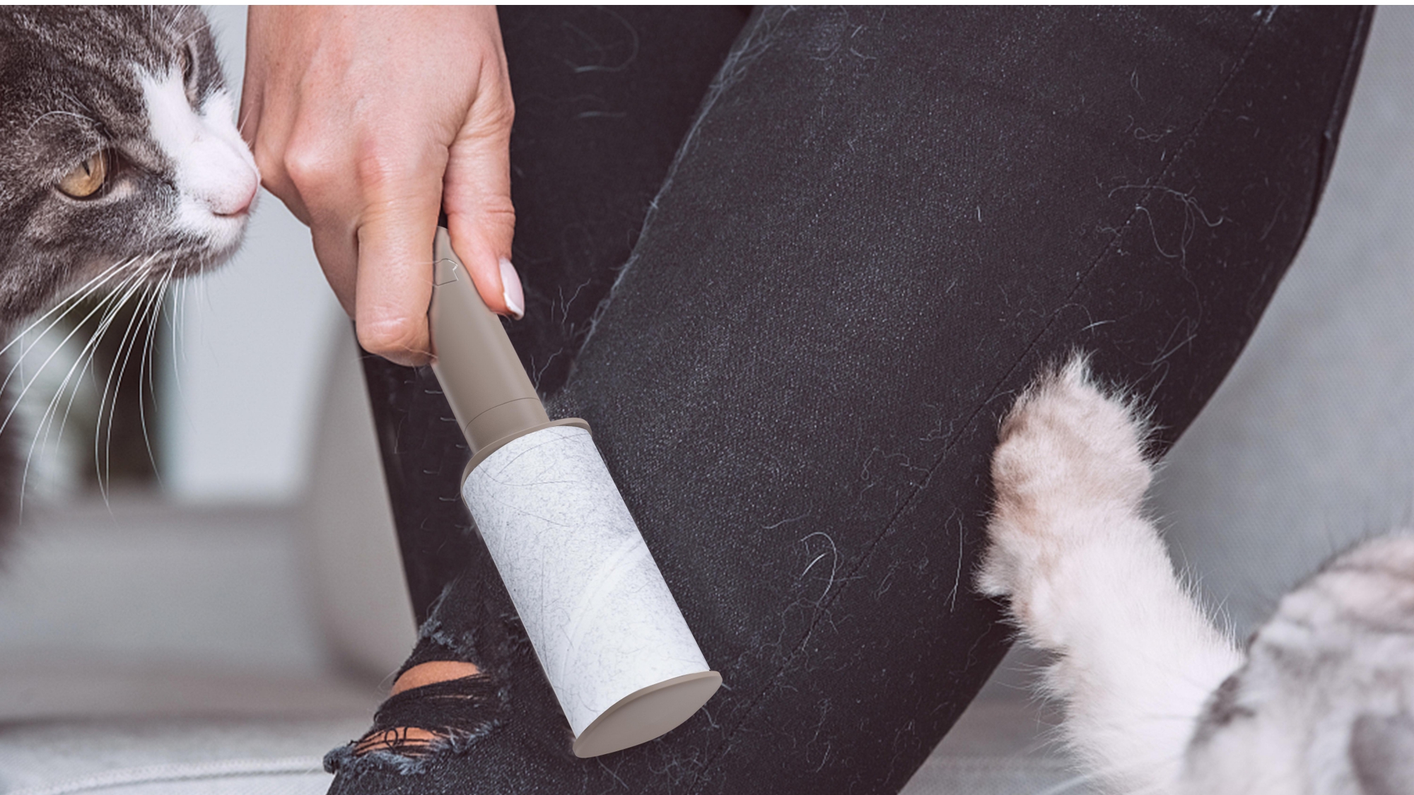 product design，industrial design，sample reels，Keyshot rendering，Pet Supplies & Pet，Cat brush，