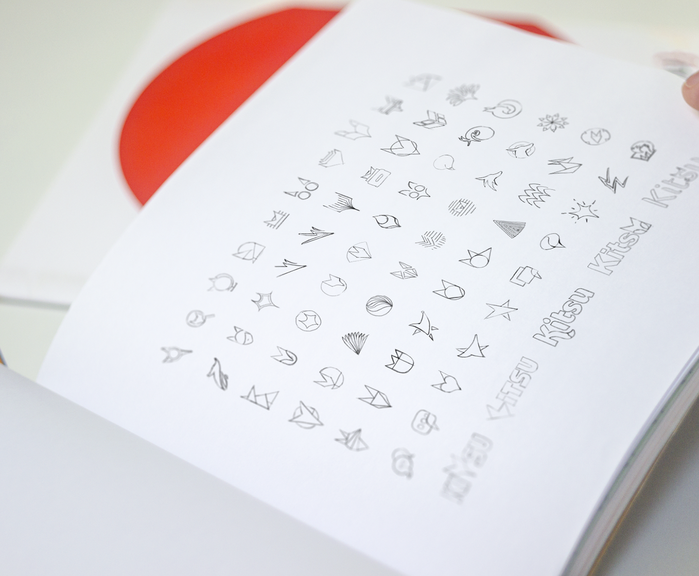 logo，vi，sign，product，vision，plane，