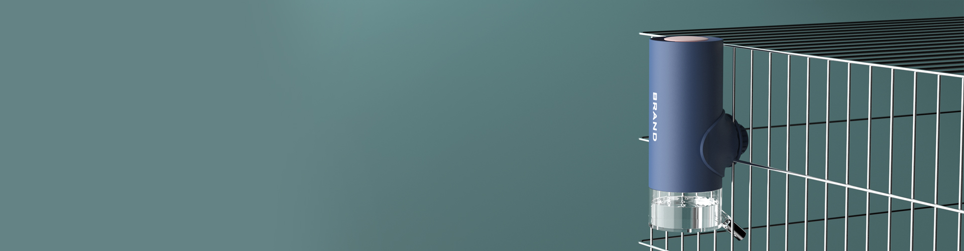 Cat cat，Dog，Water feeder，