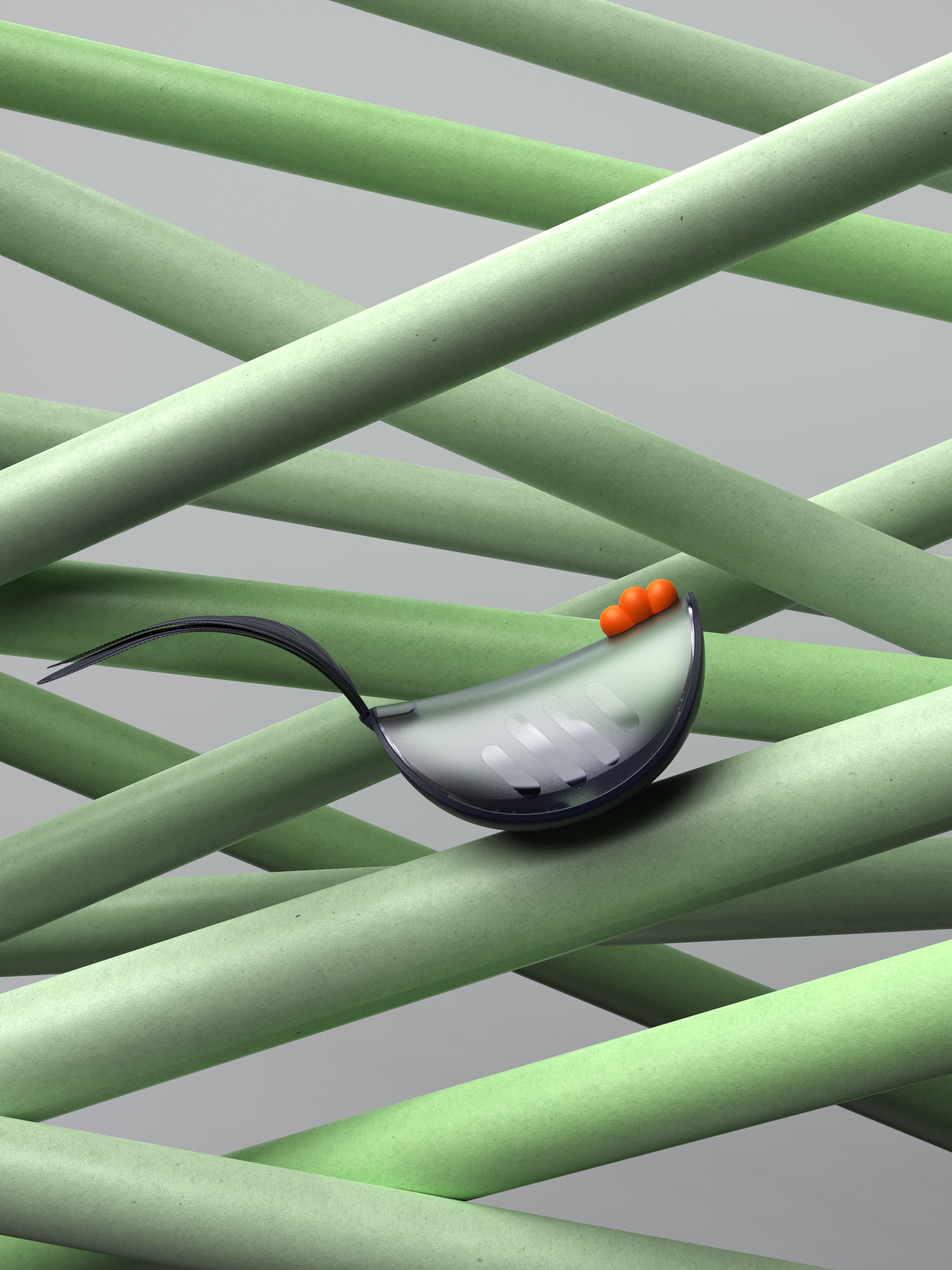 Pet toys，Leaky toys，Cat cat，Toys，Pet toys，Leaky toys，