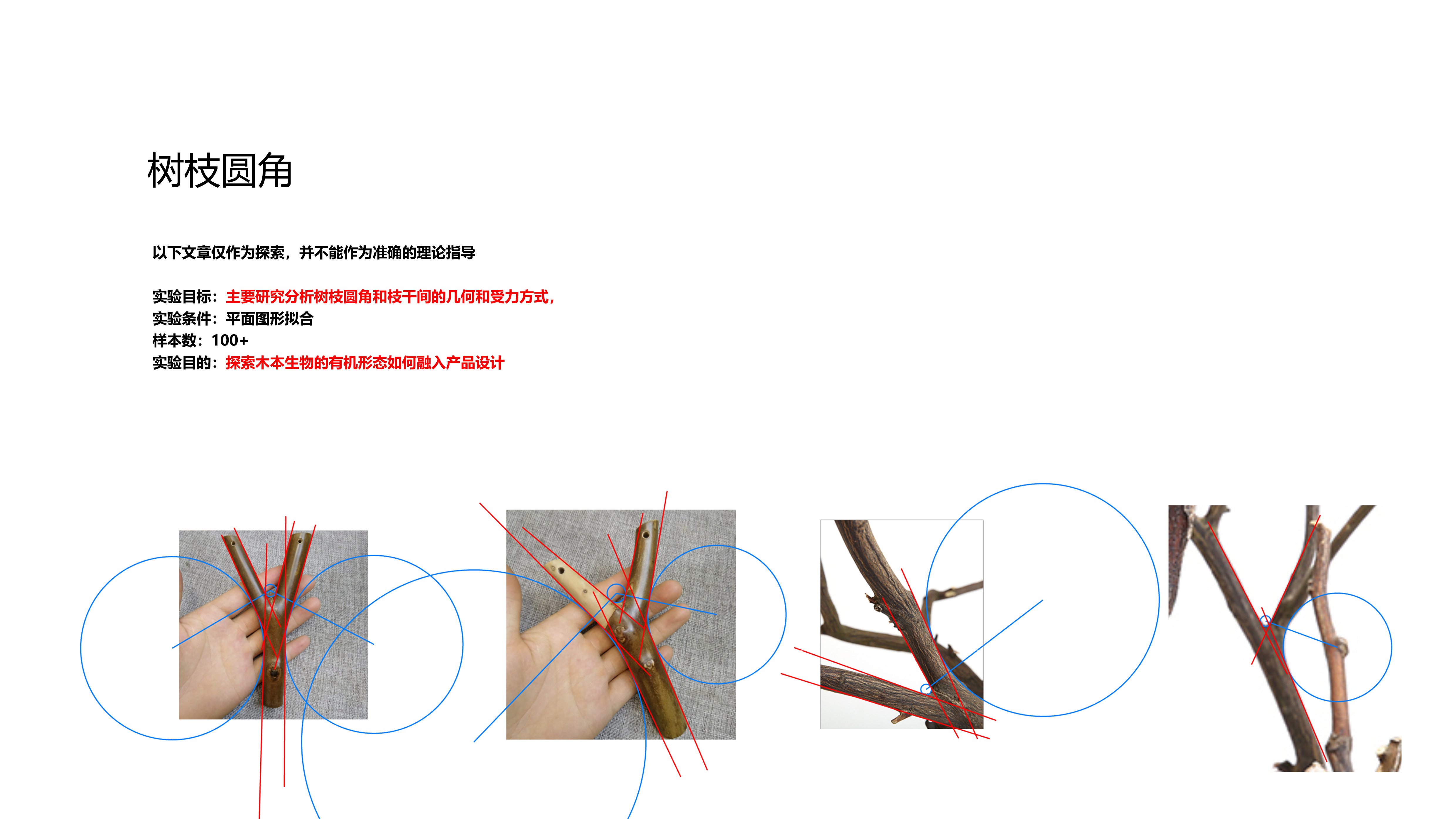 Geometry, minimalism, geometry, geometric principles，