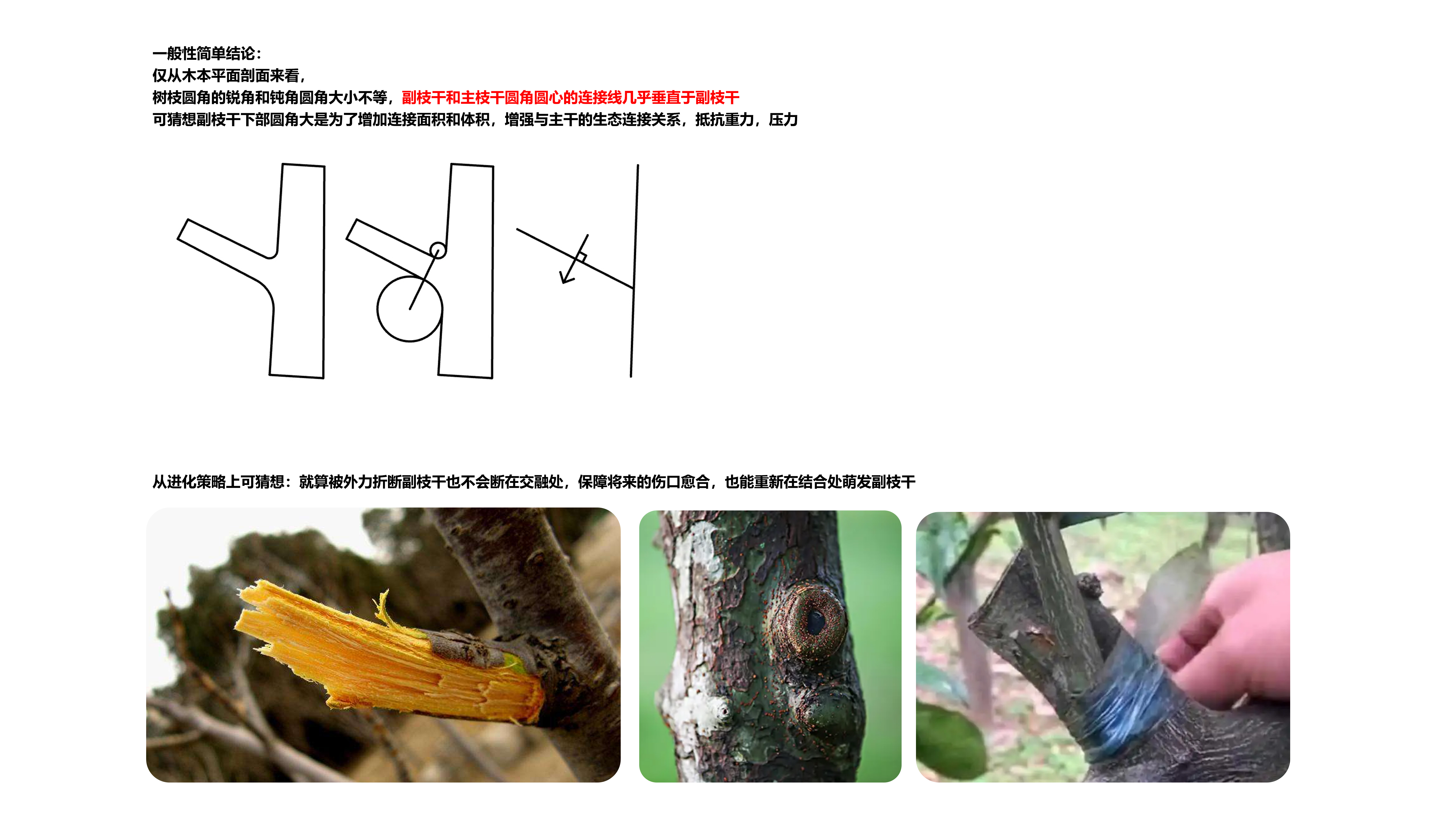 Geometry, minimalism, geometry, geometric principles，