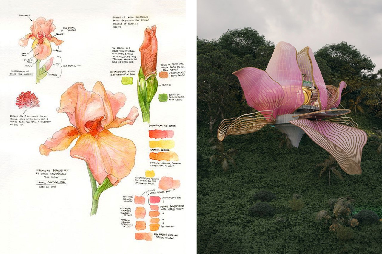 Orchid building，Creative design，villa，